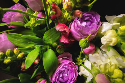 Beautiful tender blooming dark purple and green flowers texture, close-up top view