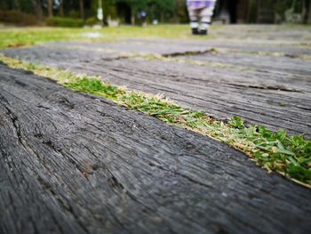 Low section of person on wooden footpath