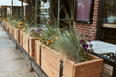 Wooden planter box filled with a plants and flowers along pearl street mall. boulder, colorado, usa