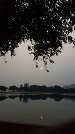 Silhouette tree by lake against sky during sunset