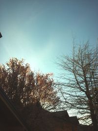 Low angle view of bare trees against sky