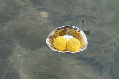 High angle view of yellow floating on water