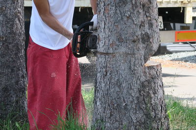 Man working on tree trunk