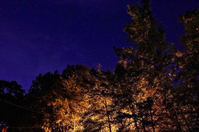 Low angle view of trees against blue sky at night