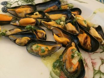 High angle view of food in plate