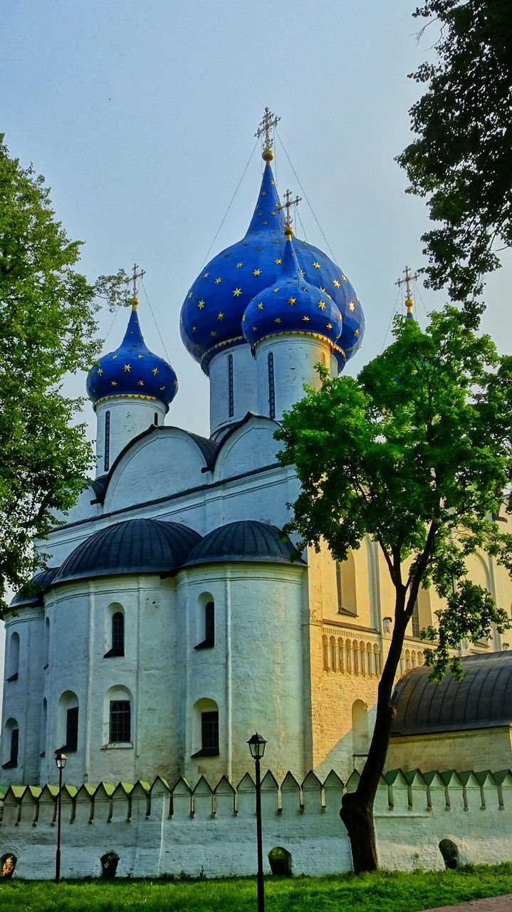 tree, architecture, building exterior, built structure, religion, clear sky, church, place of worship, day, lawn, dome, in front of, spire, green color, outdoors, blue, facade, architectural feature, no people, baroque style