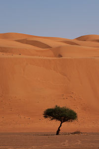 Scenic view of desert against clear sky