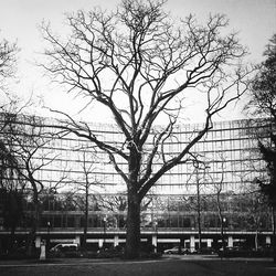 View of buildings along road
