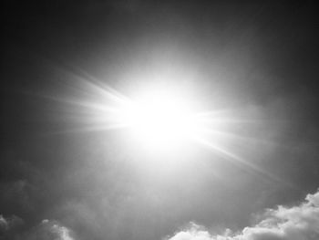 Low angle view of sun shining through trees