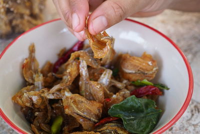 Close-up of person holding food