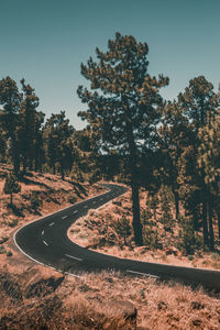 Road amidst trees against clear sky