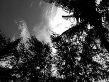 Low angle view of trees against sky