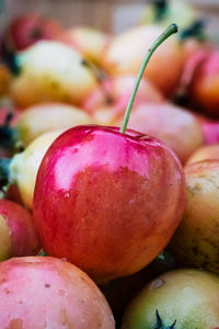 Close-up of apples in market