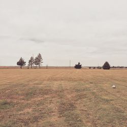 Scenic view of field against cloudy sky