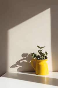 Close-up of potted plant on table at home