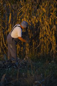 Farmer cutting plants on field