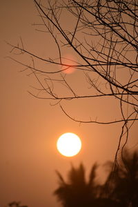 Low angle view of silhouette tree against orange sky