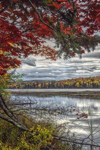 Scenic view of lake by trees against sky