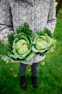 Close-up of person holding leaf on field