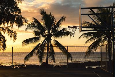 Silhouette palm trees on beach against sky during sunset