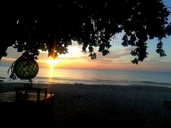 Silhouette trees on beach against sky during sunset