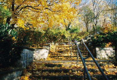 Staircase amidst trees in forest during autumn