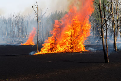 burning