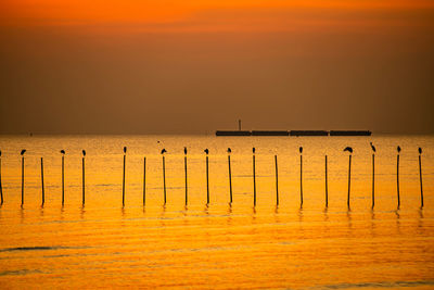 Colorful sunset along the sea in the golden hour.