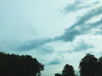 Low angle view of silhouette trees against sky