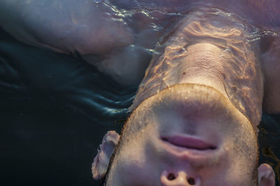 Close-up of man swimming in pool