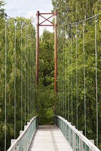 Footbridge amidst trees in forest