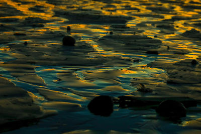 High angle view of water