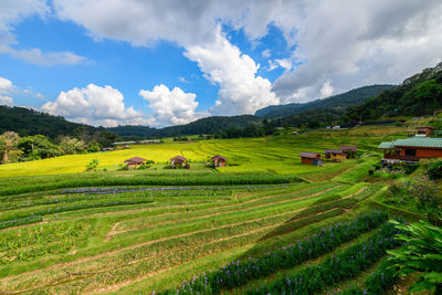 Scenery of rice terraces with homestay at mae klang luang village located along the road 