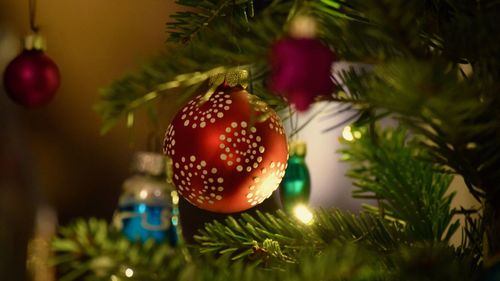 Close-up of christmas tree at home