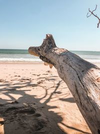 Driftwood on beach against clear sky