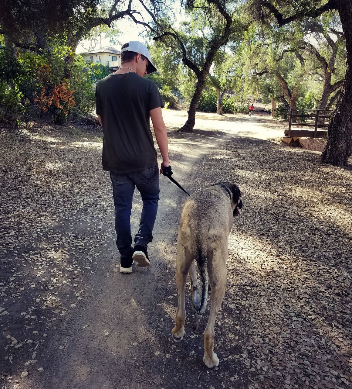 MAN WALKING WITH DOG ON ROAD