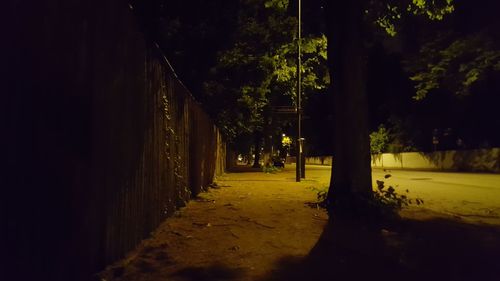 Walkway amidst trees at night