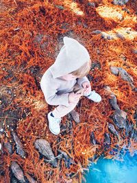 High angle view of girl sitting in water