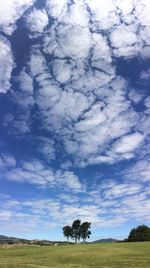 Scenic view of field against blue sky