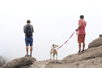 Two men with dog looking into mist