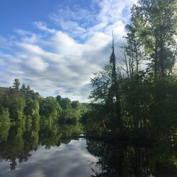 Scenic view of forest against sky