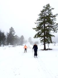 Scenic view of snow covered field