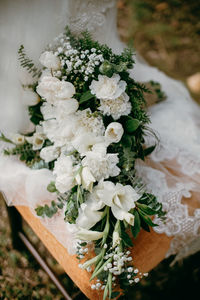 High angle view of white flowering plant