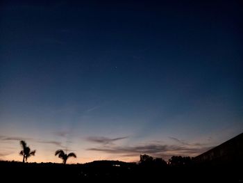 Silhouette of trees at sunset