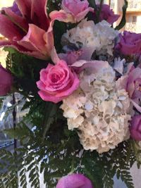 Close-up of pink rose