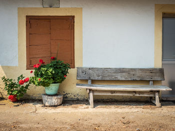 Potted plant on bench against building