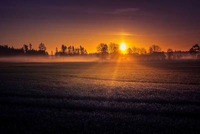 A beautiful misty morning over the spring fields. sunrise with fog on grain fields.