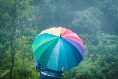 Rear view of woman holding multi colored umbrella