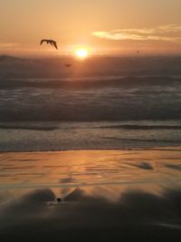 Scenic view of sea against sky during sunset