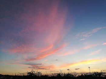 Low angle view of silhouette trees against sky at sunset